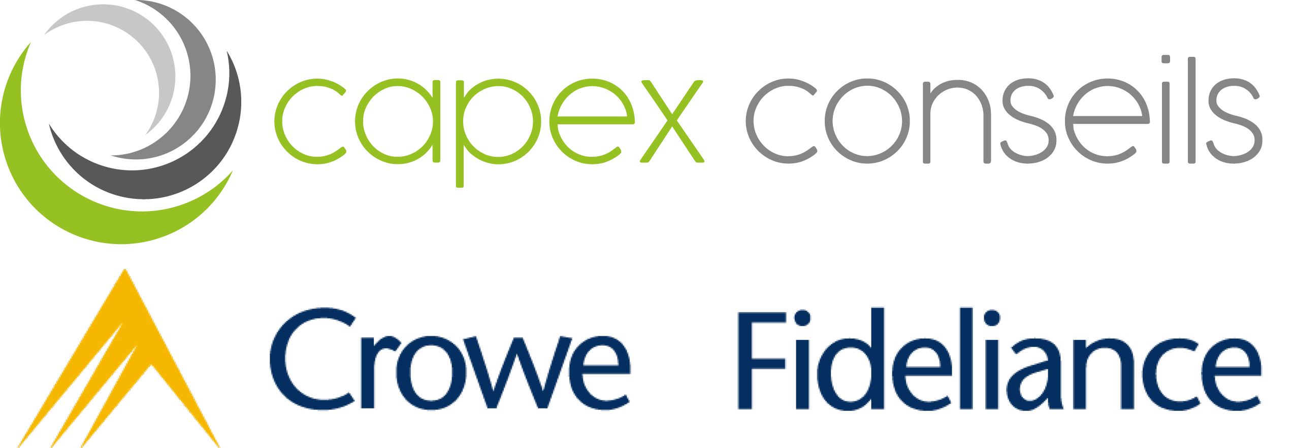 Logo Capex conseil